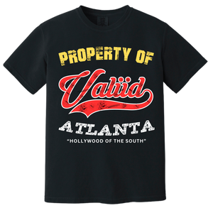 HAWKS-Property of VALiiD T